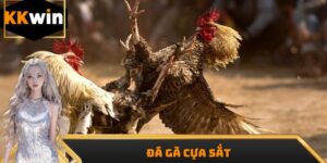 Đá Gà Cựa Sắt – Máu Lửa Từng Giây, Thưởng Lớn Mỗi Trận